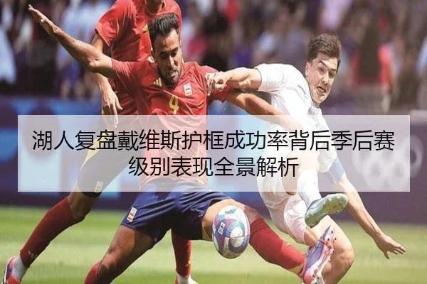 湖人复盘戴维斯护框成功率背后季后赛级别表现全景解析